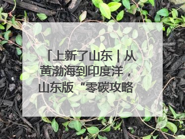 上新了山东｜从黄渤海到印度洋，山东版“零碳攻略”有多能打？