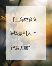 上海更多文旅场景引入“智慧大脑”