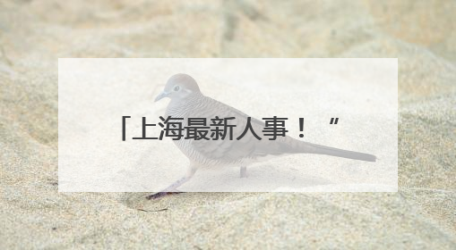 上海最新人事！“80后”赵亮，已任普陀区委副书记