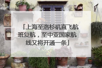 上海至洛杉矶直飞航班复航，至中亚国家航线又将开通一条