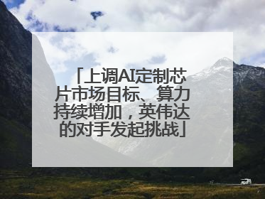 上调AI定制芯片市场目标、算力持续增加，英伟达的对手发起挑战