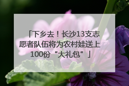 下乡去！长沙13支志愿者队伍将为农村娃送上100份“大礼包”