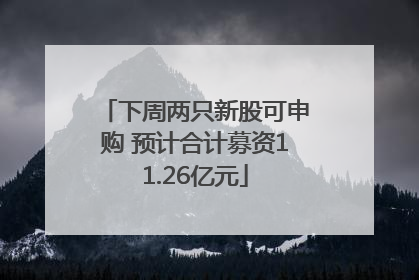 下周两只新股可申购 预计合计募资11.26亿元