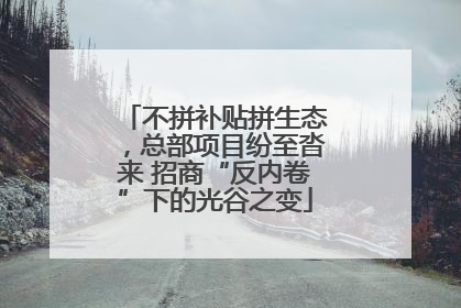 不拼补贴拼生态，总部项目纷至沓来 招商“反内卷”下的光谷之变