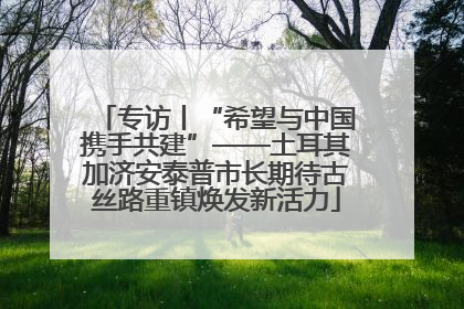 专访丨“希望与中国携手共建”——土耳其加济安泰普市长期待古丝路重镇焕发新活力