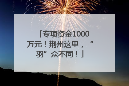 专项资金1000万元！荆州这里，“羽”众不同！
