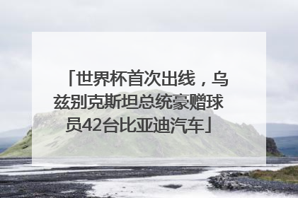 世界杯首次出线，乌兹别克斯坦总统豪赠球员42台比亚迪汽车