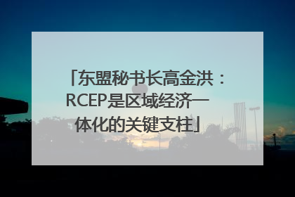 东盟秘书长高金洪：RCEP是区域经济一体化的关键支柱