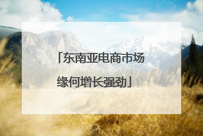 东南亚电商市场缘何增长强劲