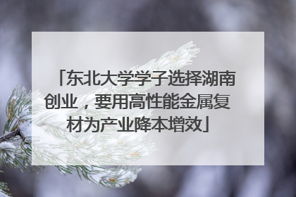 东北大学学子选择湖南创业，要用高性能金属复材为产业降本增效
