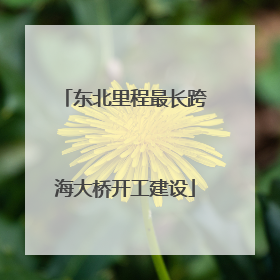 东北里程最长跨海大桥开工建设