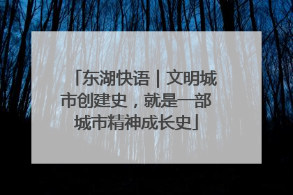 东湖快语｜文明城市创建史，就是一部城市精神成长史