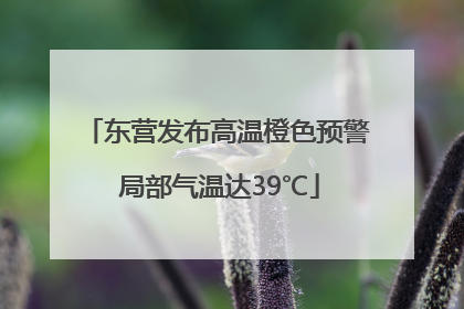 东营发布高温橙色预警 局部气温达39℃