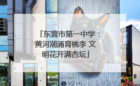 东营市第一中学：黄河潮涌育桃李 文明花开满杏坛