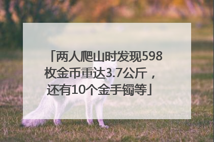 两人爬山时发现598枚金币重达3.7公斤，还有10个金手镯等
