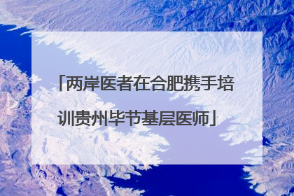 两岸医者在合肥携手培训贵州毕节基层医师