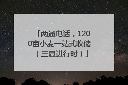 两通电话，1200亩小麦一站式收储（三夏进行时）