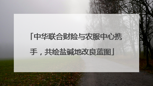 中华联合财险与农服中心携手，共绘盐碱地改良蓝图
