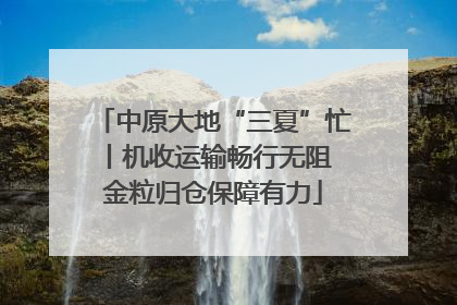 中原大地“三夏”忙丨机收运输畅行无阻 金粒归仓保障有力