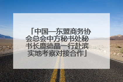 中国—东盟商务协会总会中方秘书处秘书长鹿德晶一行赴滨实地考察对接合作