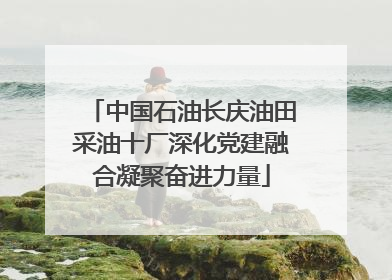 中国石油长庆油田采油十厂深化党建融合凝聚奋进力量