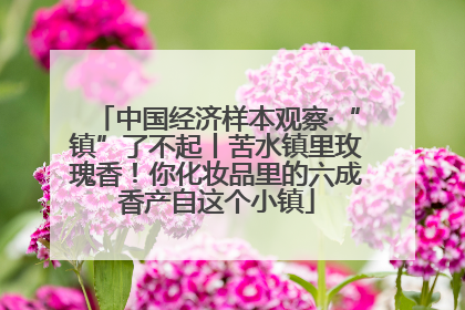 中国经济样本观察·“镇”了不起丨苦水镇里玫瑰香！你化妆品里的六成香产自这个小镇
