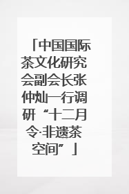 中国国际茶文化研究会副会长张仲灿一行调研“十二月令·非遗茶空间”