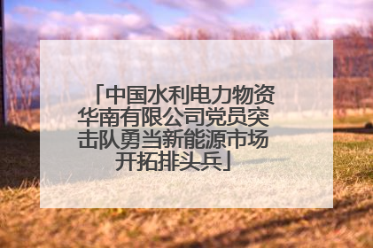中国水利电力物资华南有限公司党员突击队勇当新能源市场开拓排头兵
