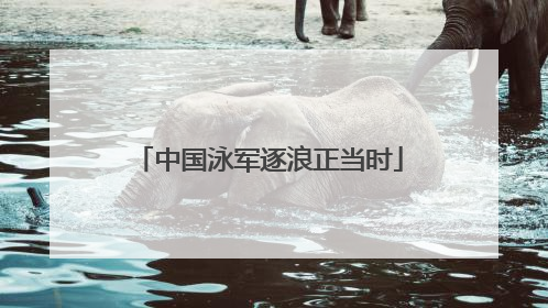 中国泳军逐浪正当时