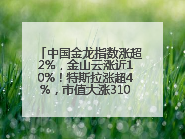 中国金龙指数涨超2%，金山云涨近10%！特斯拉涨超4%，市值大涨3100亿元！比特币涨回11万美元关口