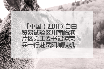 中国（四川）自由贸易试验区川南临港片区党工委书记谭荣兵一行赴岳阳城陵矶综保区考察