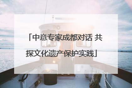 中意专家成都对话 共探文化遗产保护实践