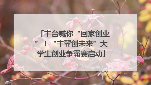 丰台喊你“回家创业”！“丰翼创未来”大学生创业争霸赛启动
