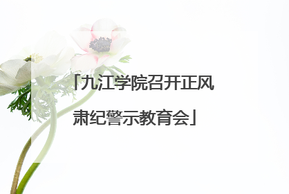 九江学院召开正风肃纪警示教育会