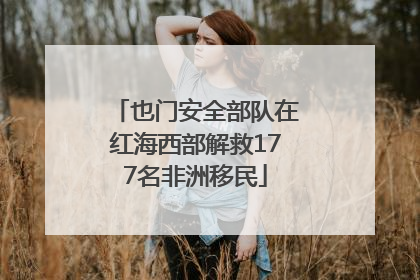 也门安全部队在红海西部解救177名非洲移民