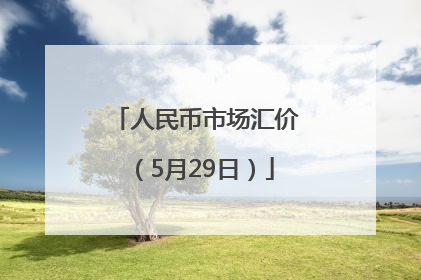 人民币市场汇价（5月29日）
