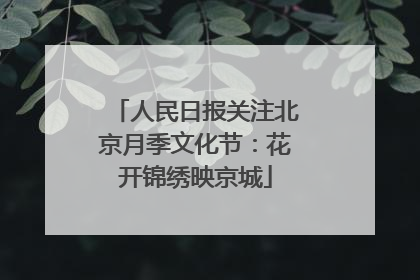 人民日报关注北京月季文化节：花开锦绣映京城