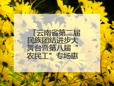 云南省第二届民族团结进步大舞台暨第八届“农民工”专场惠民演出启幕