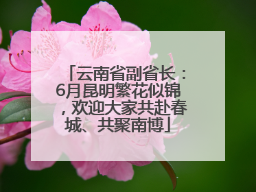 云南省副省长：6月昆明繁花似锦，欢迎大家共赴春城、共聚南博
