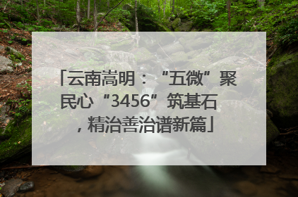 云南嵩明：“五微”聚民心“3456”筑基石，精治善治谱新篇