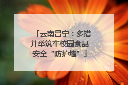 云南昌宁：多措并举筑牢校园食品安全“防护墙”