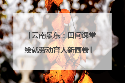 云南景东：田间课堂绘就劳动育人新画卷