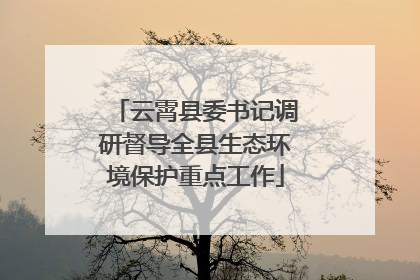 云霄县委书记调研督导全县生态环境保护重点工作