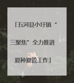 五河县小圩镇“三聚焦”全力推进夏种夏管工作