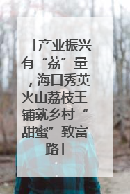 产业振兴有“荔”量，海口秀英火山荔枝王铺就乡村“甜蜜”致富路