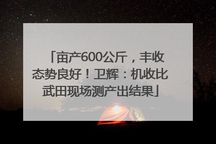 亩产600公斤，丰收态势良好！卫辉：机收比武田现场测产出结果