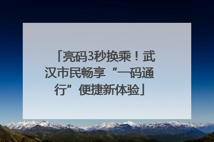 亮码3秒换乘！武汉市民畅享“一码通行”便捷新体验