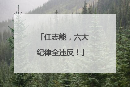 任志能，六大纪律全违反！
