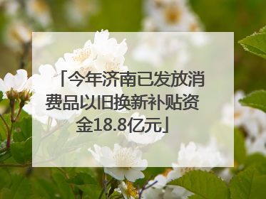 今年济南已发放消费品以旧换新补贴资金18.8亿元