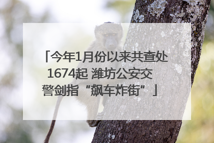 今年1月份以来共查处1674起 潍坊公安交警剑指“飙车炸街”